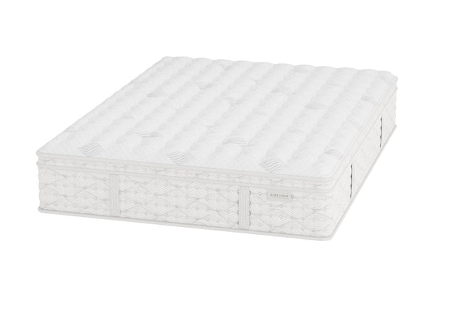 Preferred Collection Timeless Odyssey II Euro Top Plush