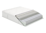 Aireloom - Preferred Collection Timeless Odyssey II Euro Top Plush - Canadian Mattress