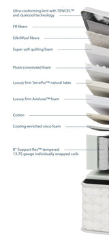 Aireloom - Preferred Collection Timeless Odyssey II Streamline Luxury Firm - Canadian Mattress