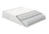 Aireloom - Preferred Collection Timeless Odyssey II Tight Top Extra Firm - Canadian Mattress