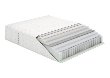 Aireloom - Preferred Collection Timeless Odyssey II Tight Top Extra Firm - Canadian Mattress