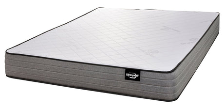 Springwall Sleep Products - Dorm 8 Firm - Canadian Mattress