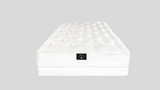 Sprout - Sprout Firmus Single Sided - Canadian Mattress