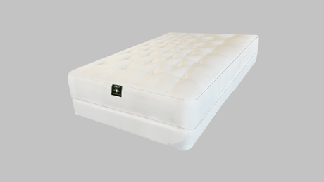 Sprout - Sprout Firmus Single Sided - Canadian Mattress