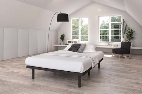 Beaudoin - Level Platform Base - Canadian Mattress Wholesalers