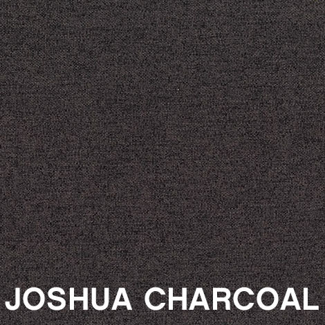 Joshua Charcoal