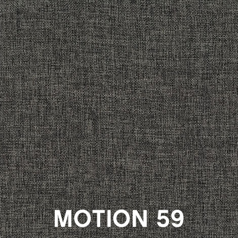 Motion 59