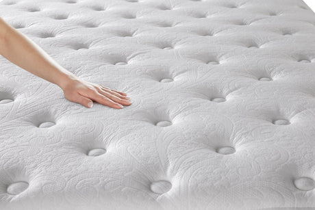 Beautyrest - Traditional Cushion Top Medium - Canadian Mattress Wholesalers
